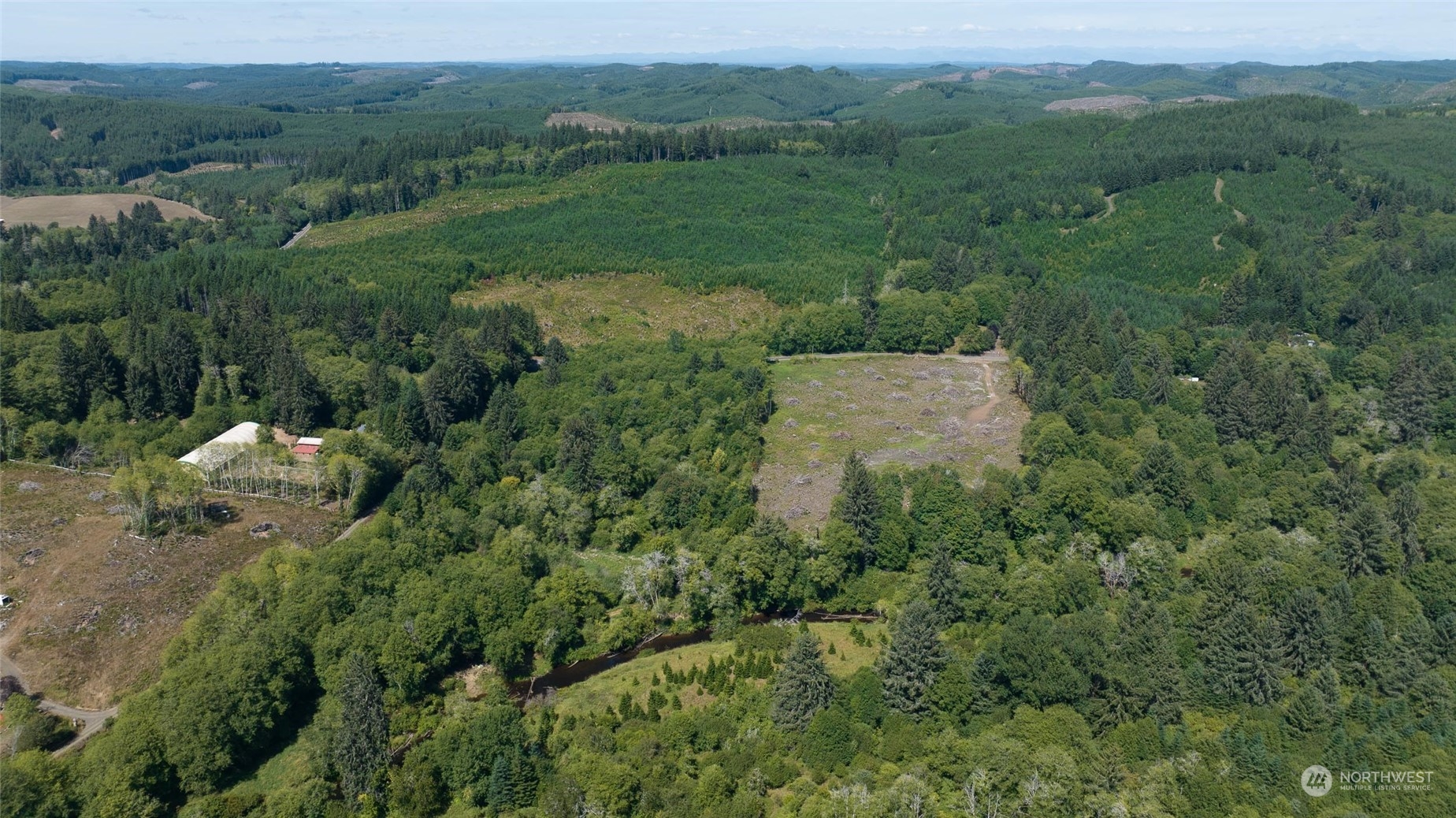1-xx Primo Road Cosmopolis, WA 98537 - Photo 19 of 20 a view of a forest with a street