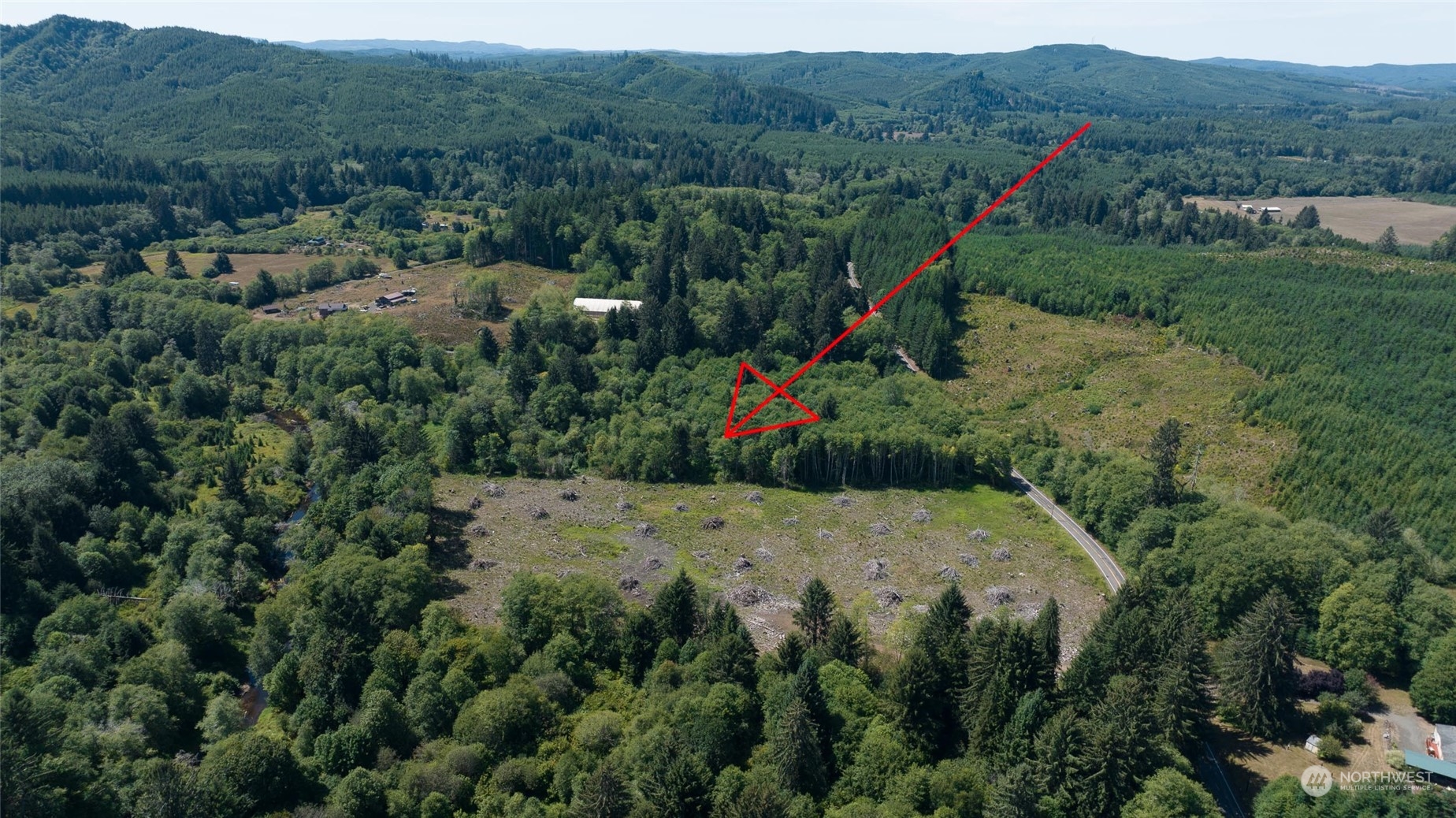 1-xx Primo Road Cosmopolis, WA 98537 - Photo 2 of 20 a view of a park with large trees