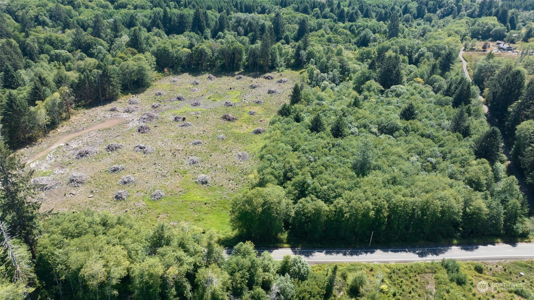 1-xx Primo Road Cosmopolis, WA 98537 - Photo 3 of 20 a view of a yard with a tree