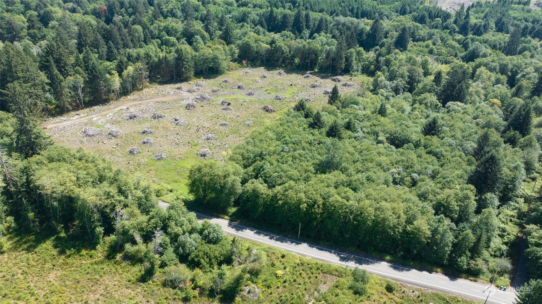 1-xx Primo Road Cosmopolis, WA 98537 - Photo 4 of 20 a view of a forest with a pathway