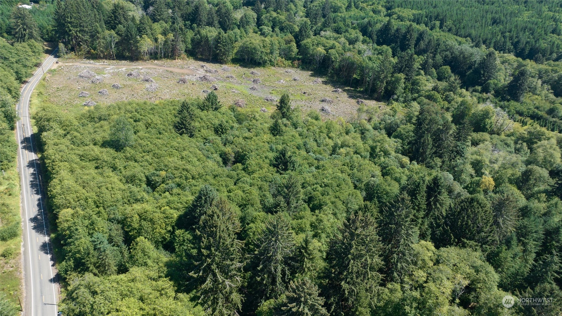 1-xx Primo Road Cosmopolis, WA 98537 - Photo 5 of 20 a view of a dry yard with lots of trees