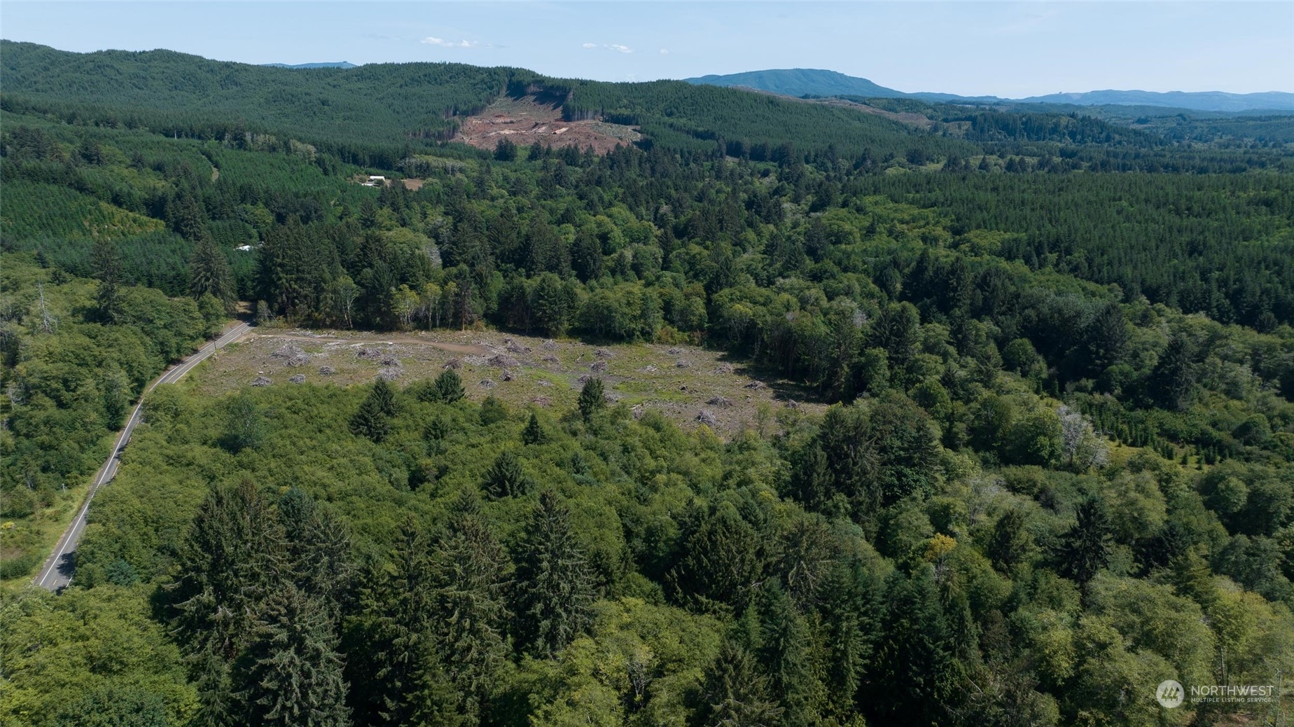 1-xx Primo Road Cosmopolis, WA 98537 - Photo 6 of 20 a view of a mountain range with lush green forest