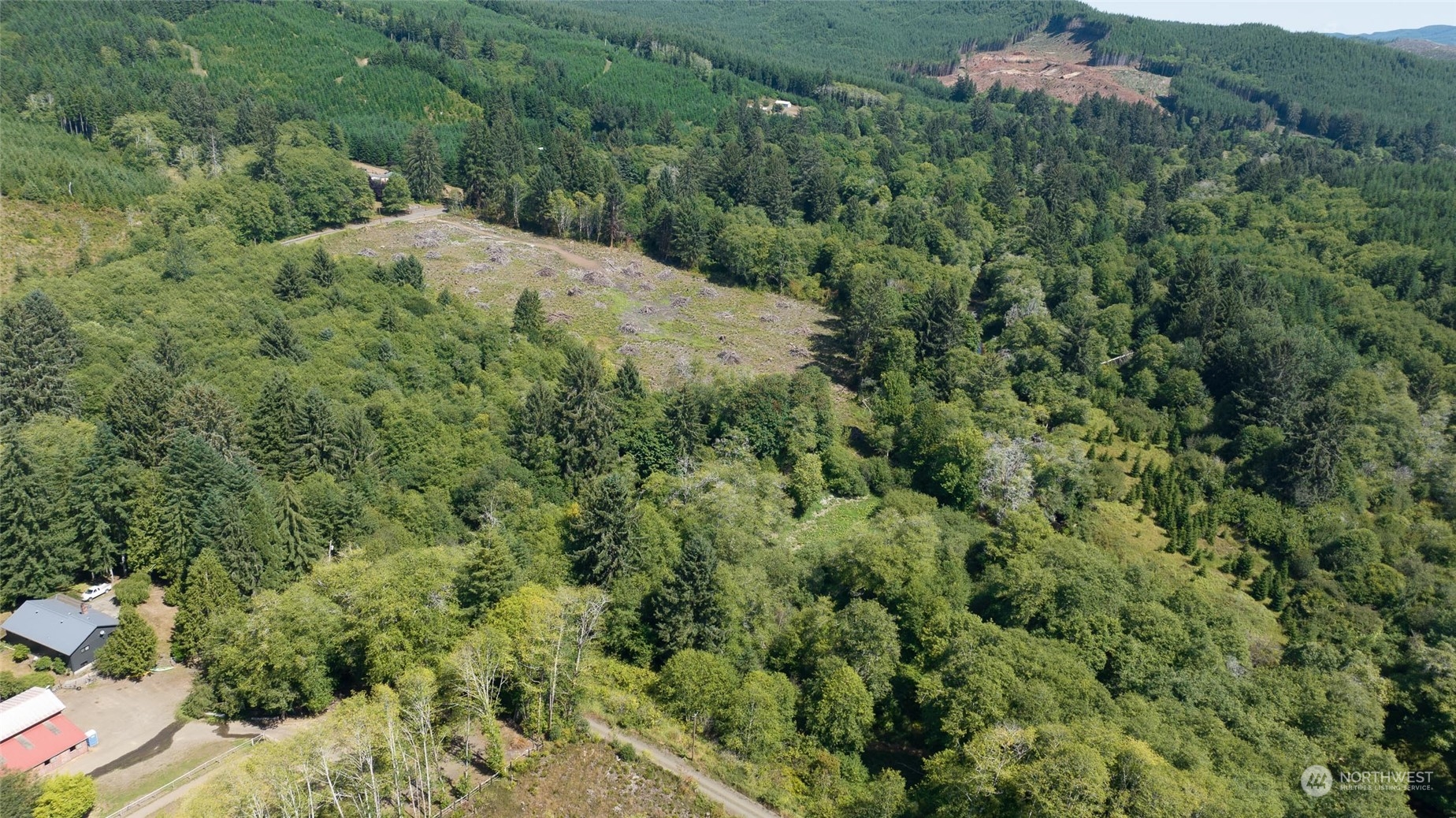 1-xx Primo Road Cosmopolis, WA 98537 - Photo 7 of 20 a view of a lush green forest with lots of trees
