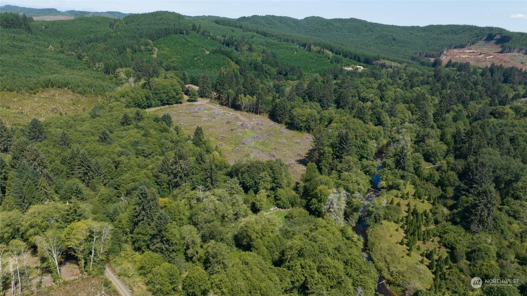 1-xx Primo Road Cosmopolis, WA 98537 - Photo 8 of 20 a view of a lush green forest with a house