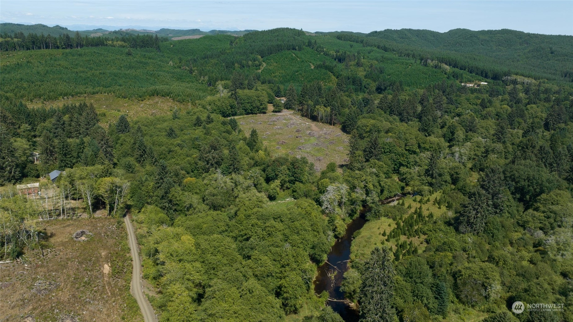 1-xx Primo Road Cosmopolis, WA 98537 - Photo 9 of 20 a view of a lush green forest with a house