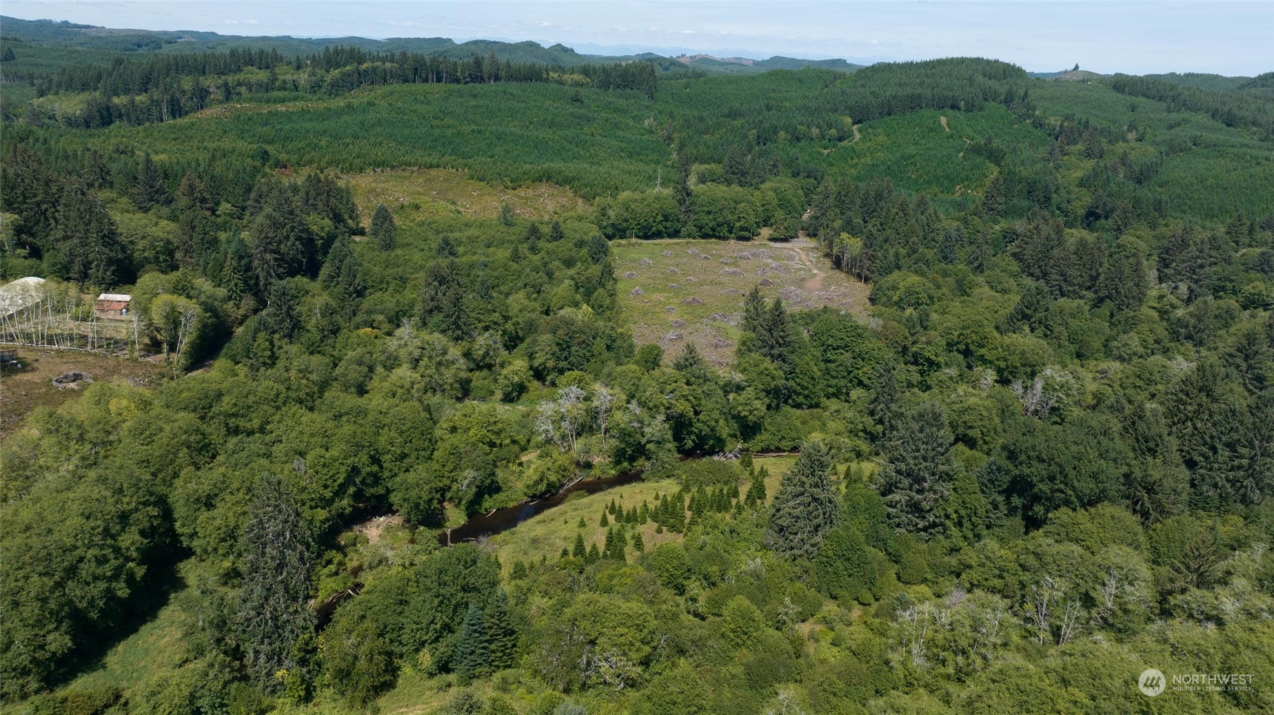 1-xx Primo Road Cosmopolis, WA 98537 - Photo 10 of 20 a view of a lush green hillside and trees
