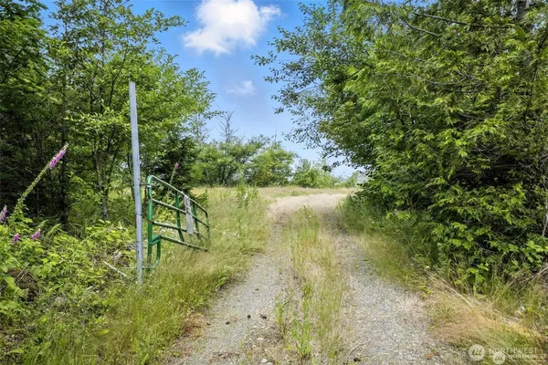 a view of an outdoor space and a yard