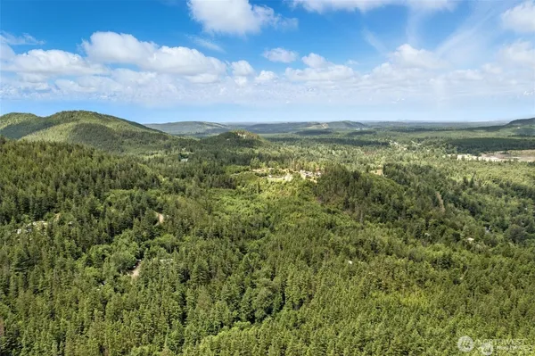 a view of a city with lots of trees