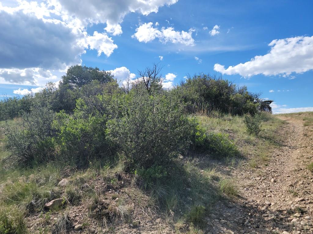 Tbd2 Greenhorn Road Rye, CO 81069 - Photo 2 of 5