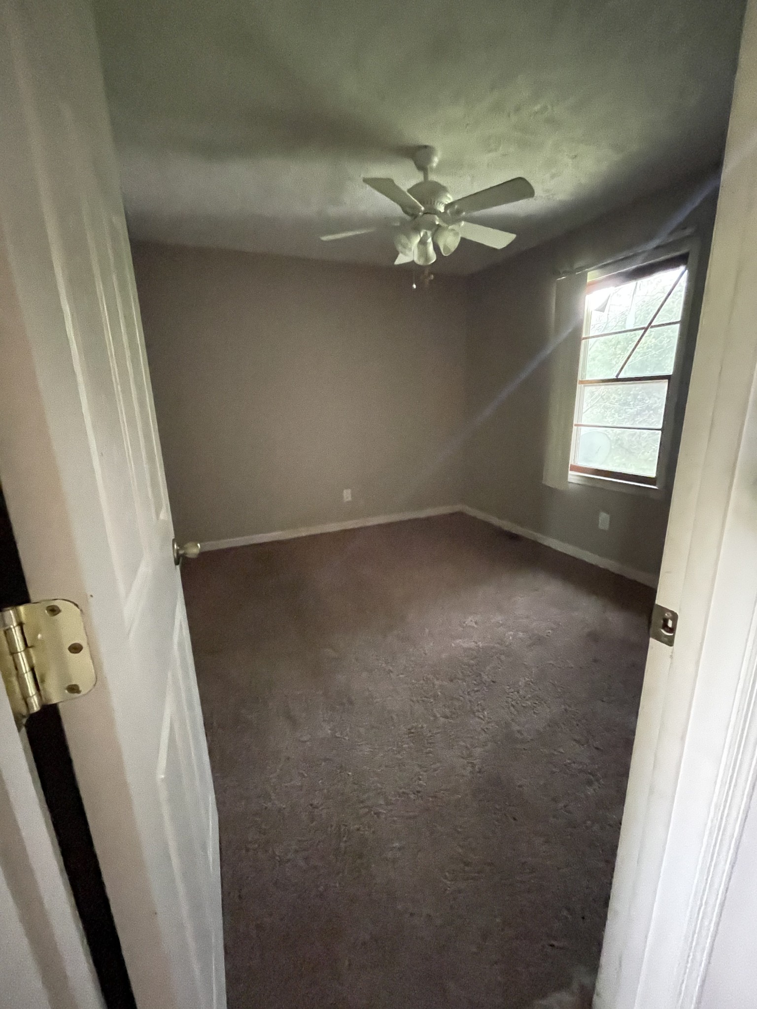 203 Harris Road Tracy City, TN 37387 - Photo 38 of 40 Gallery Image 38