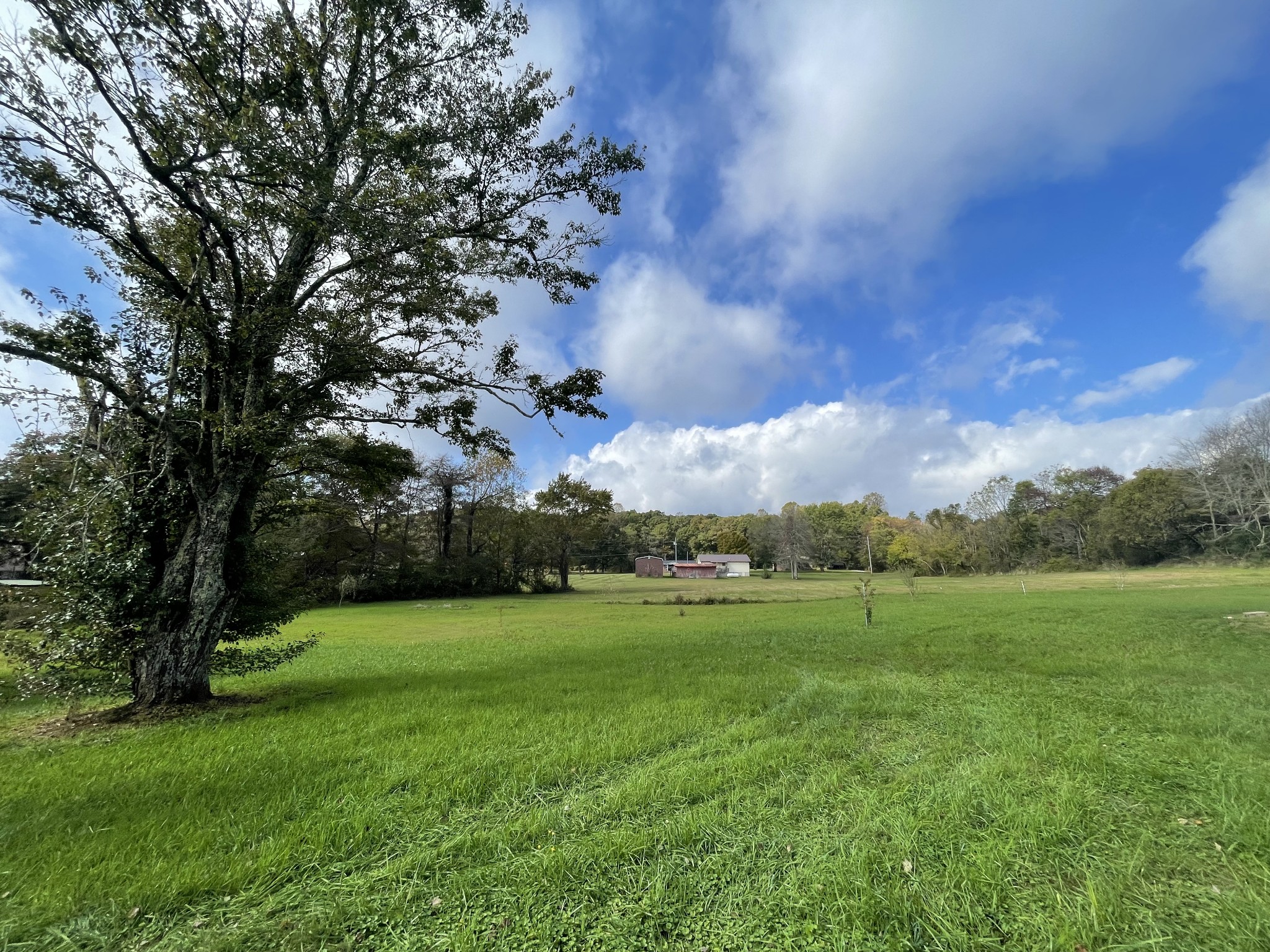 203 Harris Road Tracy City, TN 37387 - Photo 6 of 40 Gallery Image 6