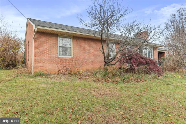 a backyard of a house with plants and large tree