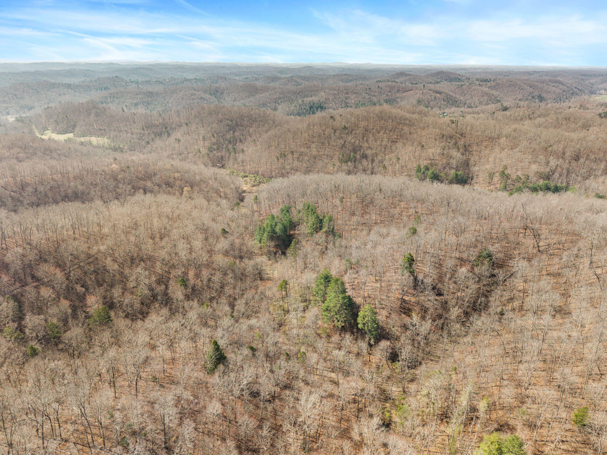1230 Possum Trot Road Manchester, KY 40962 - Photo 25 of 25 28-web-or-mls-DJI_20260321115355_0075_D