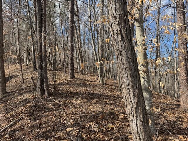 Lot 1 Gap Bridge Road Moneta, VA 24121 - Photo 11 of 12 a view of yard with trees