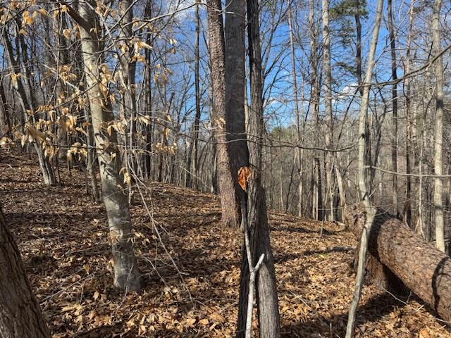 Lot 1 Gap Bridge Road Moneta, VA 24121 - Photo 12 of 12 a view of an outdoor space