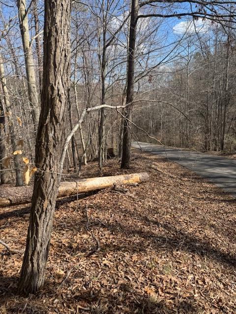 Lot 1 Gap Bridge Road Moneta, VA 24121 - Photo 9 of 12 a view of a yard with large trees