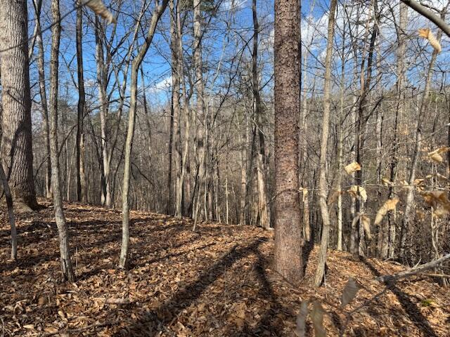 Lot 1 Gap Bridge Road Moneta, VA 24121 - Photo 10 of 12 a view of house with trees