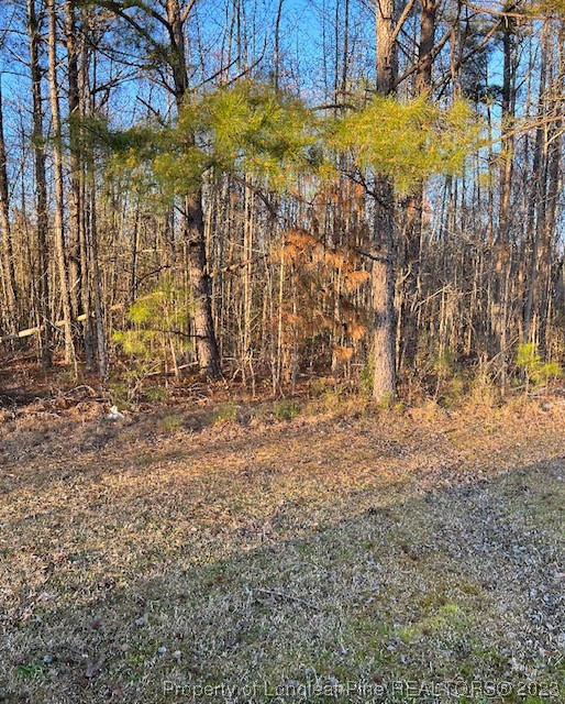 2727 Wire Road Erwin, NC 28339 - Photo 3 of 3 a view of yard