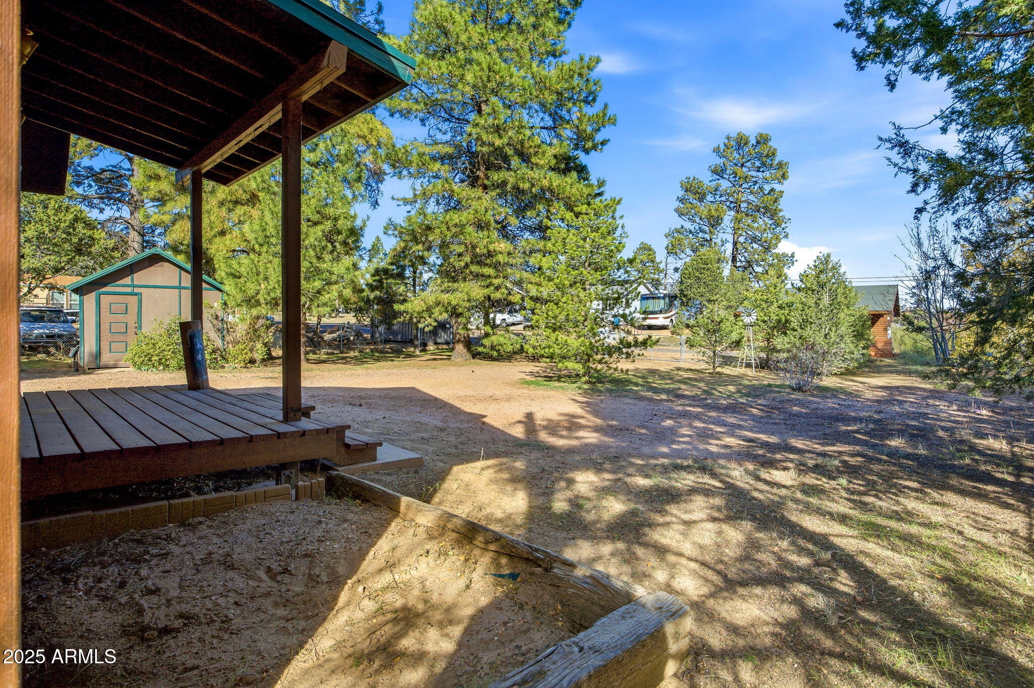 3157 Tonto Drive Overgaard, AZ 85933 - Photo 4 of 22 a view of backyard with large trees and plants