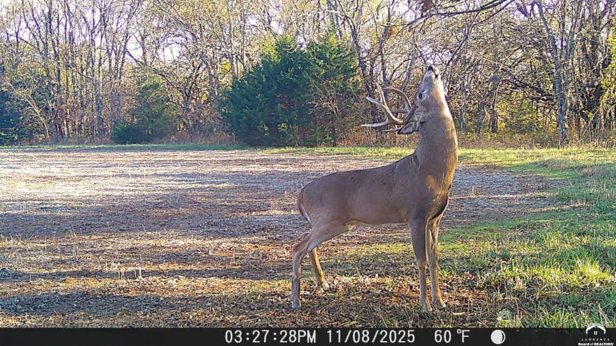 627 North 900 Road Lawrence, KS 66047 - Photo 34 of 36