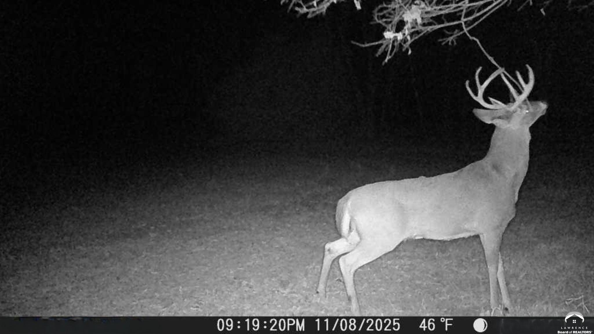 627 North 900 Road Lawrence, KS 66047 - Photo 35 of 36