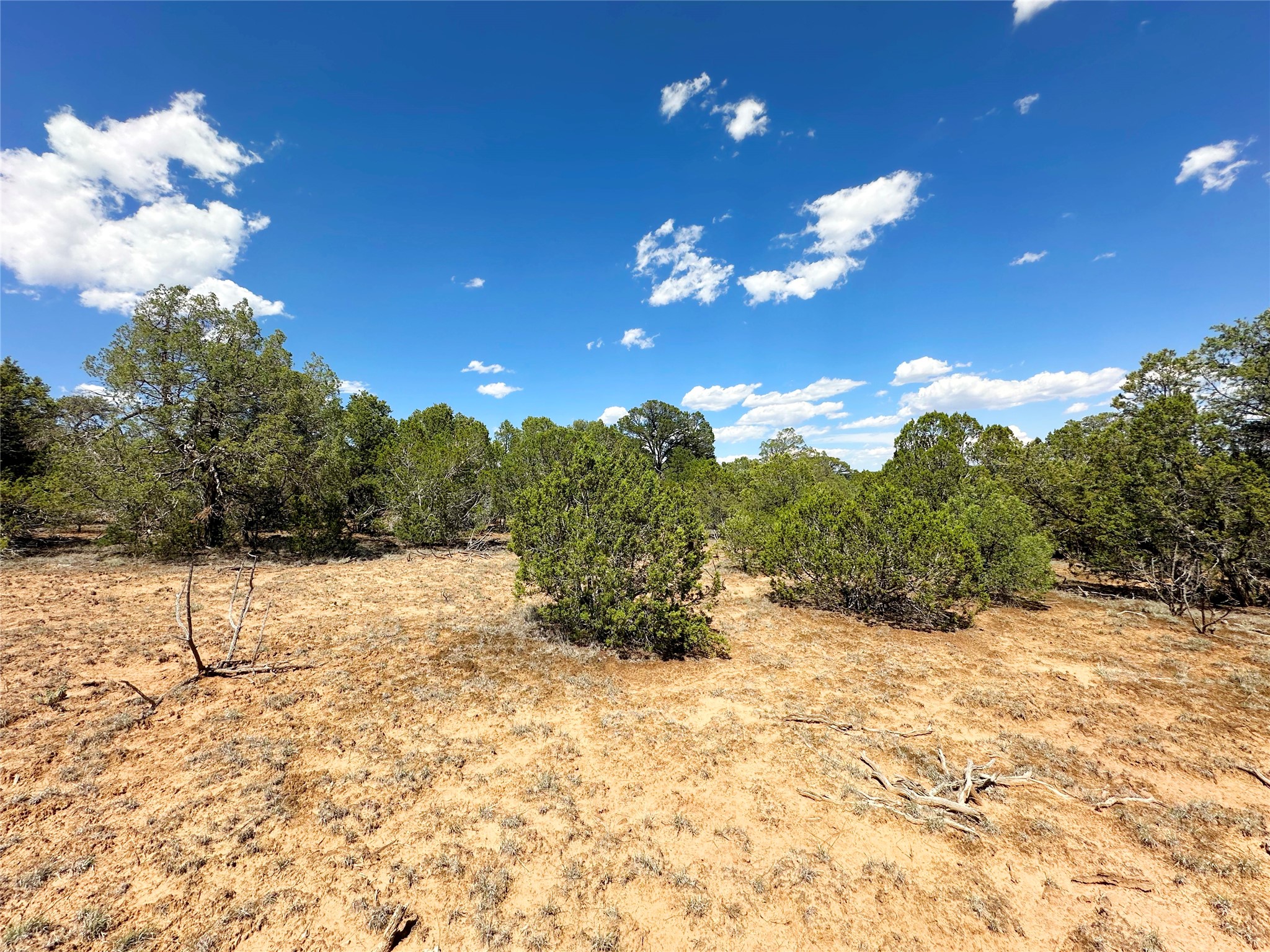 Lot 7 Tierra De Dios Ribera, NM 87560 - Photo 5 of 10