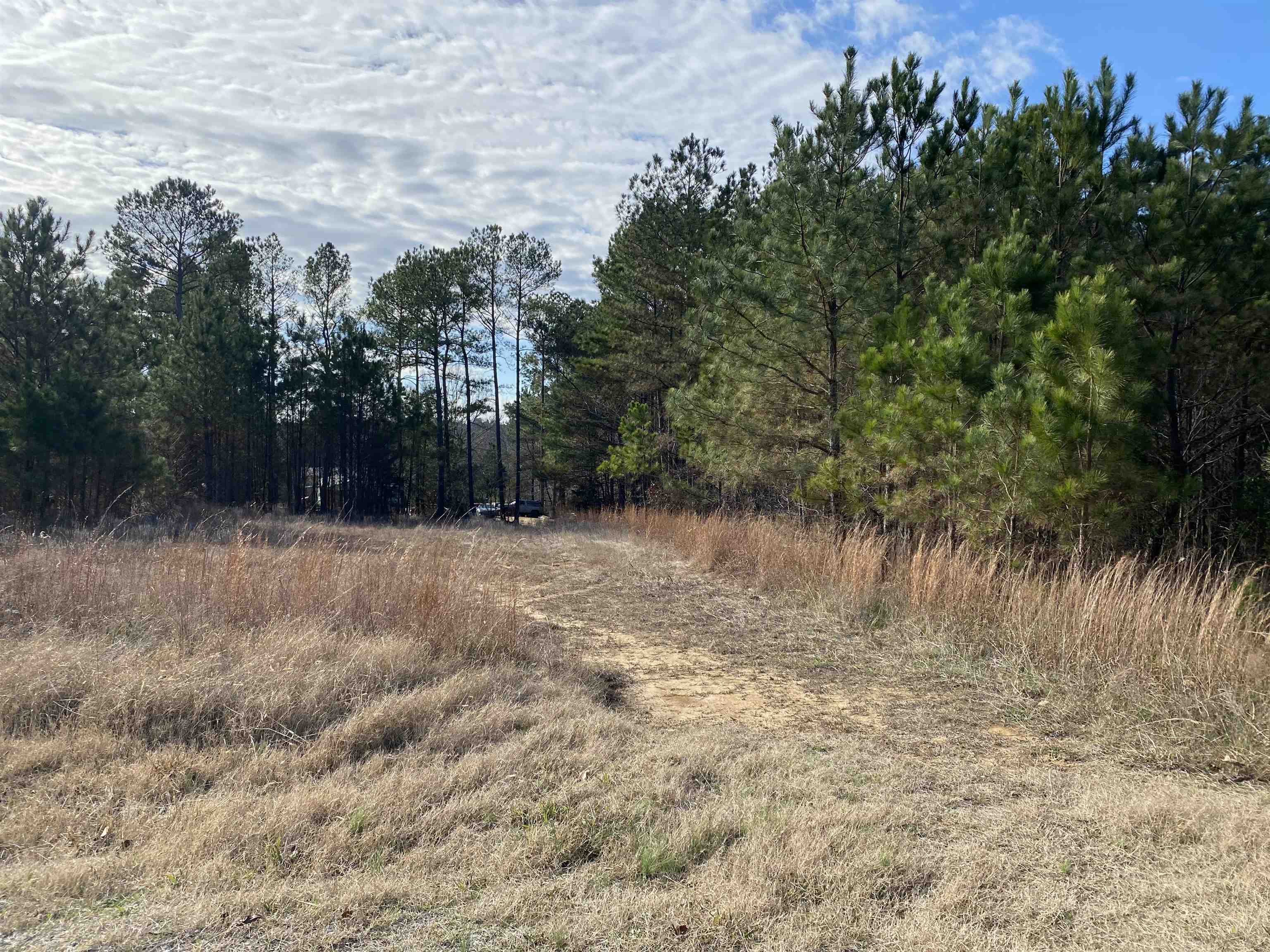 22 Russom Road Finger, TN 38334 - Photo 2 of 5 a view of a lake view