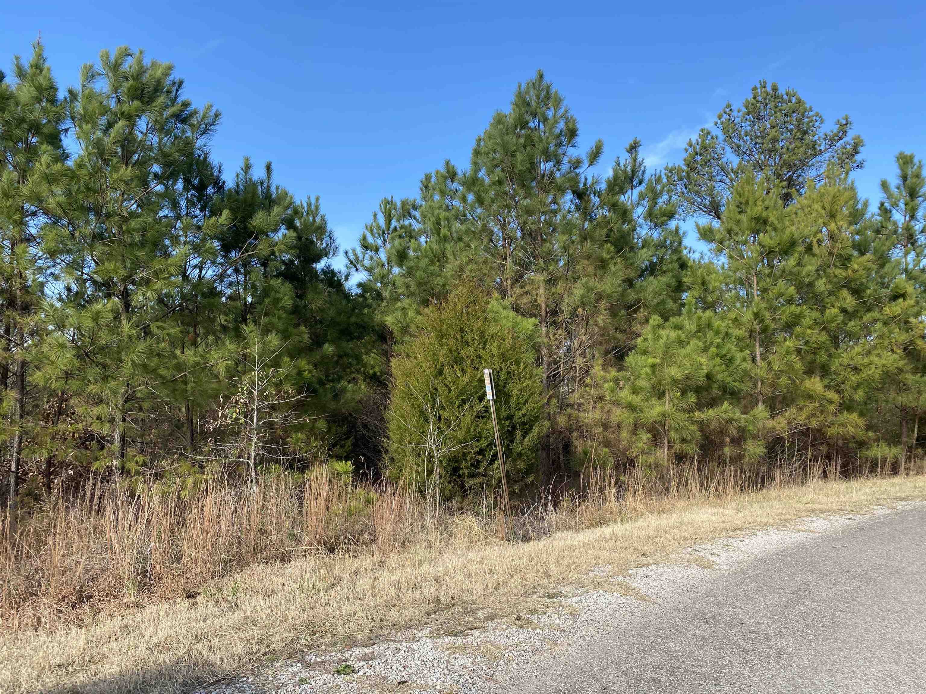 22 Russom Road Finger, TN 38334 - Photo 3 of 5 a view of a yard