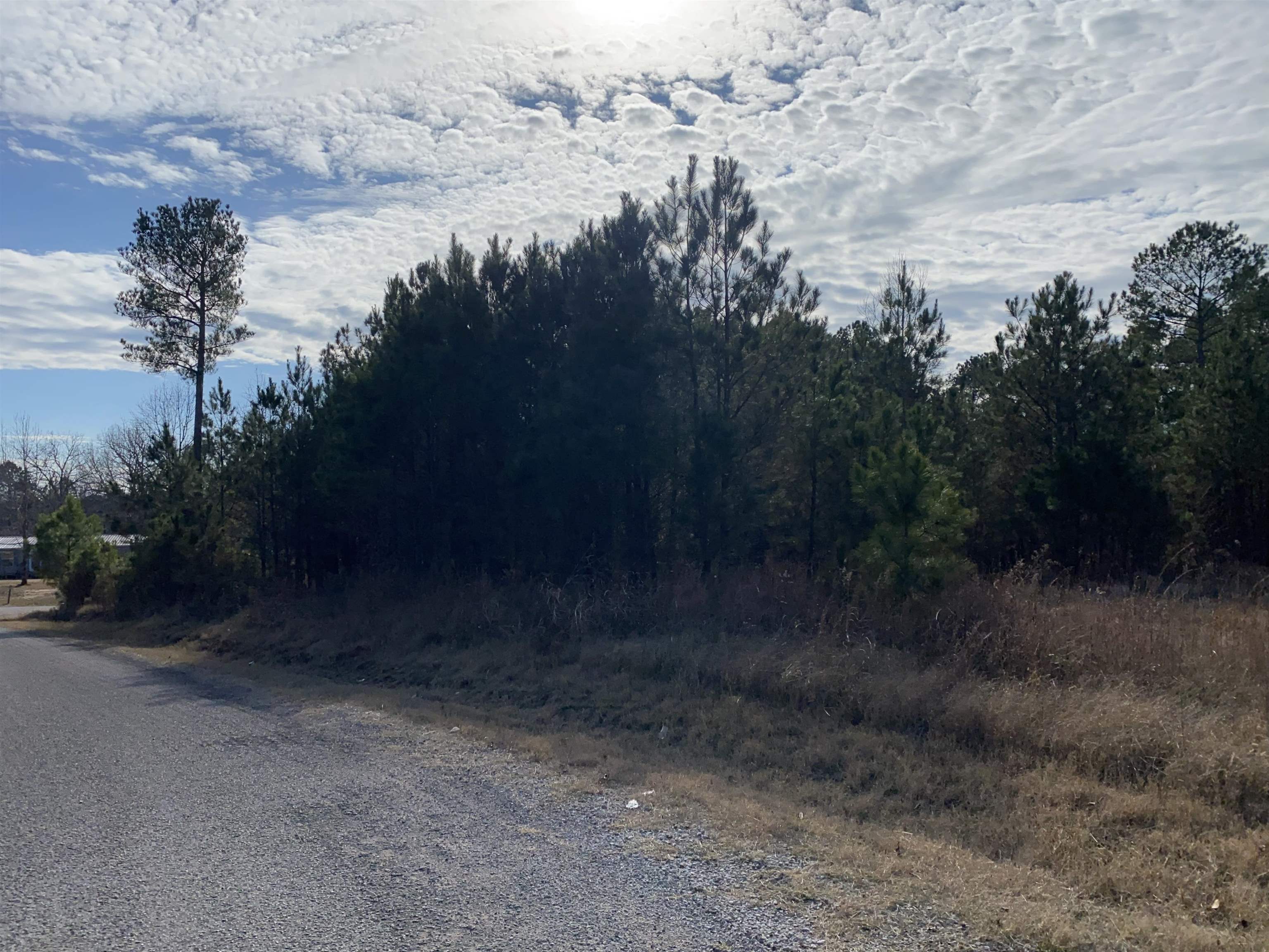 22 Russom Road Finger, TN 38334 - Photo 5 of 5 a view of a yard