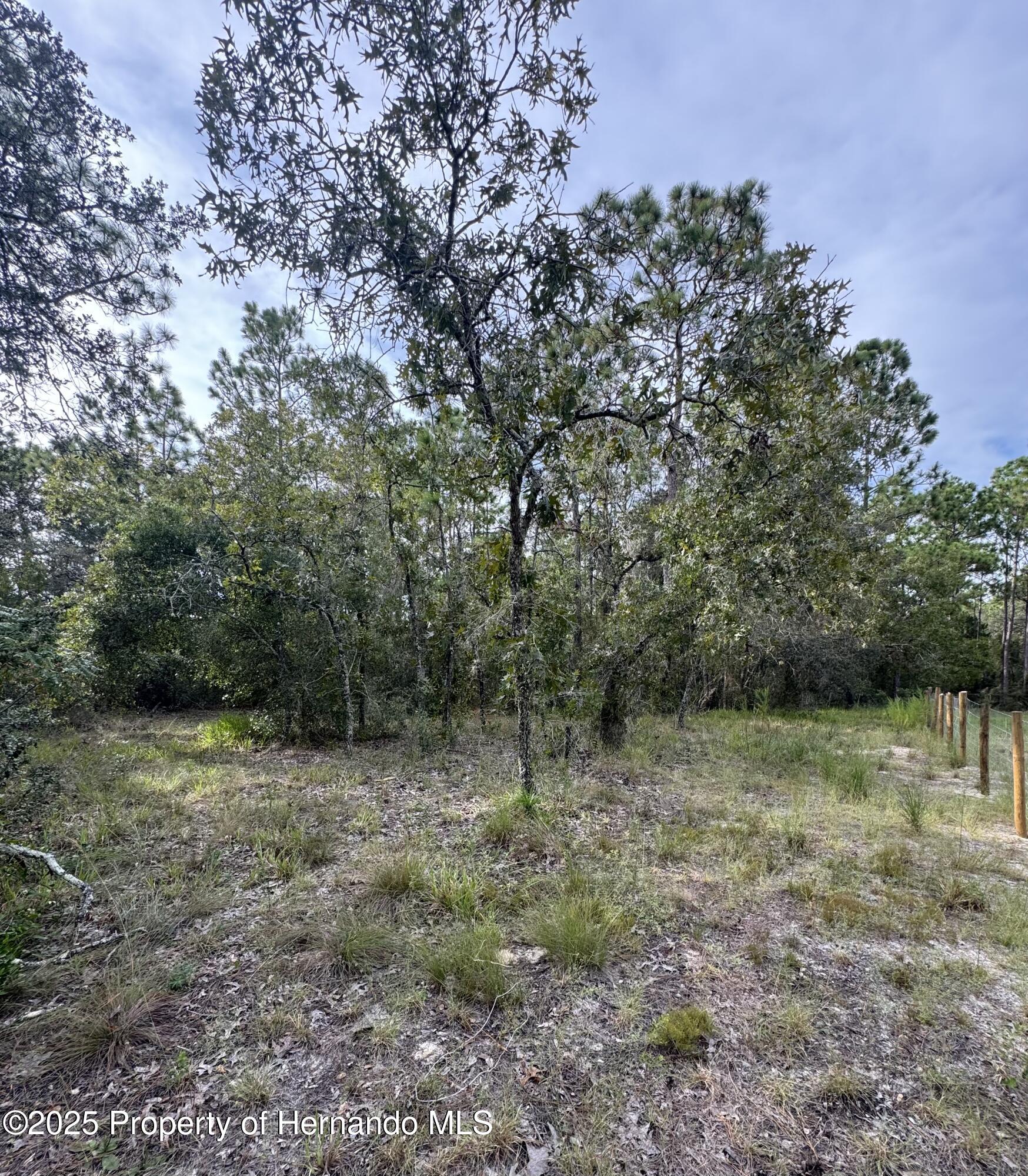 . Scooby Road Brooksville, FL 34604 - Photo 2 of 7