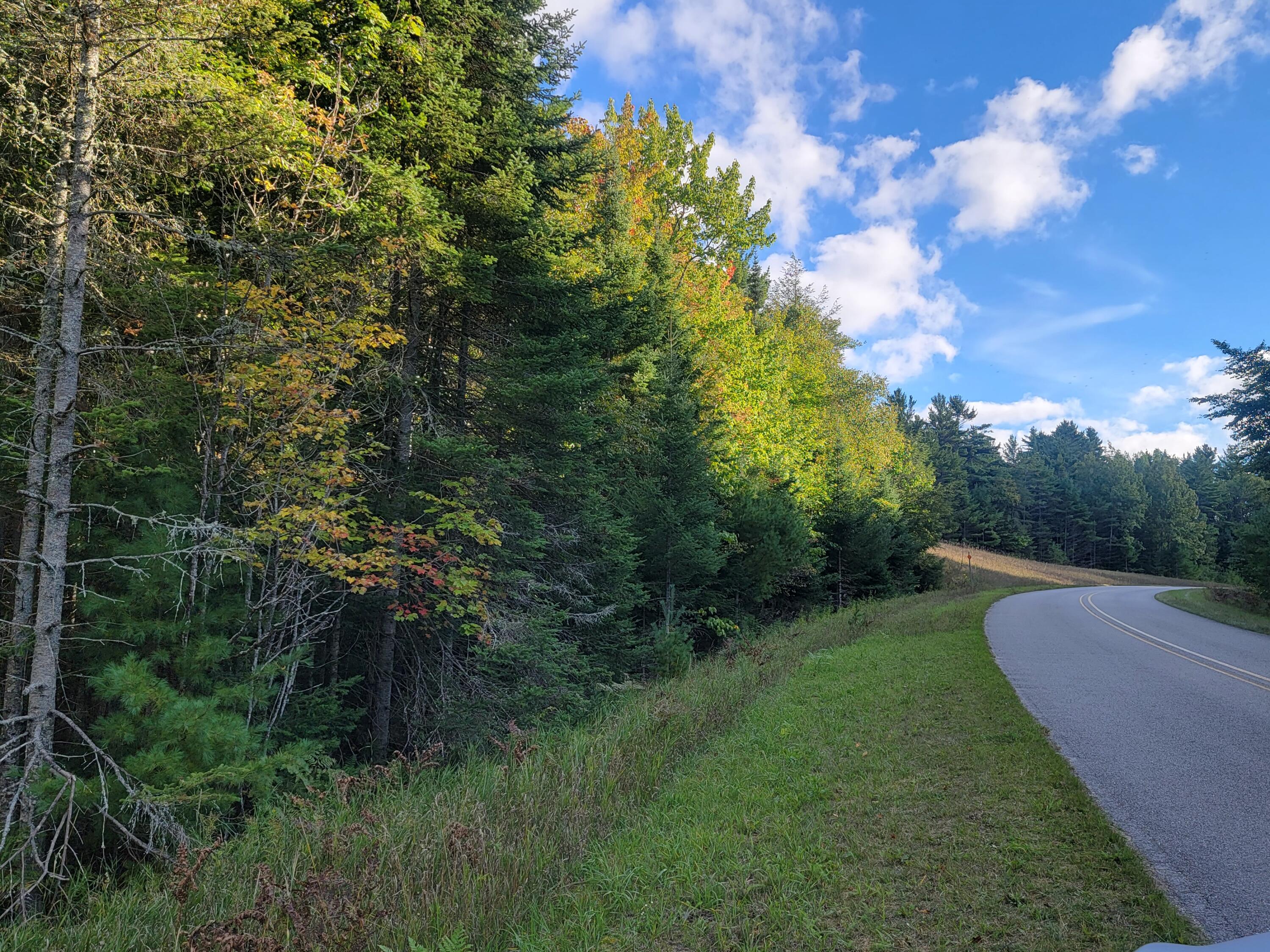 Lot 1 Brevort Camp Road Moran, MI 49760 - Photo 56 of 66 Gallery Image 56