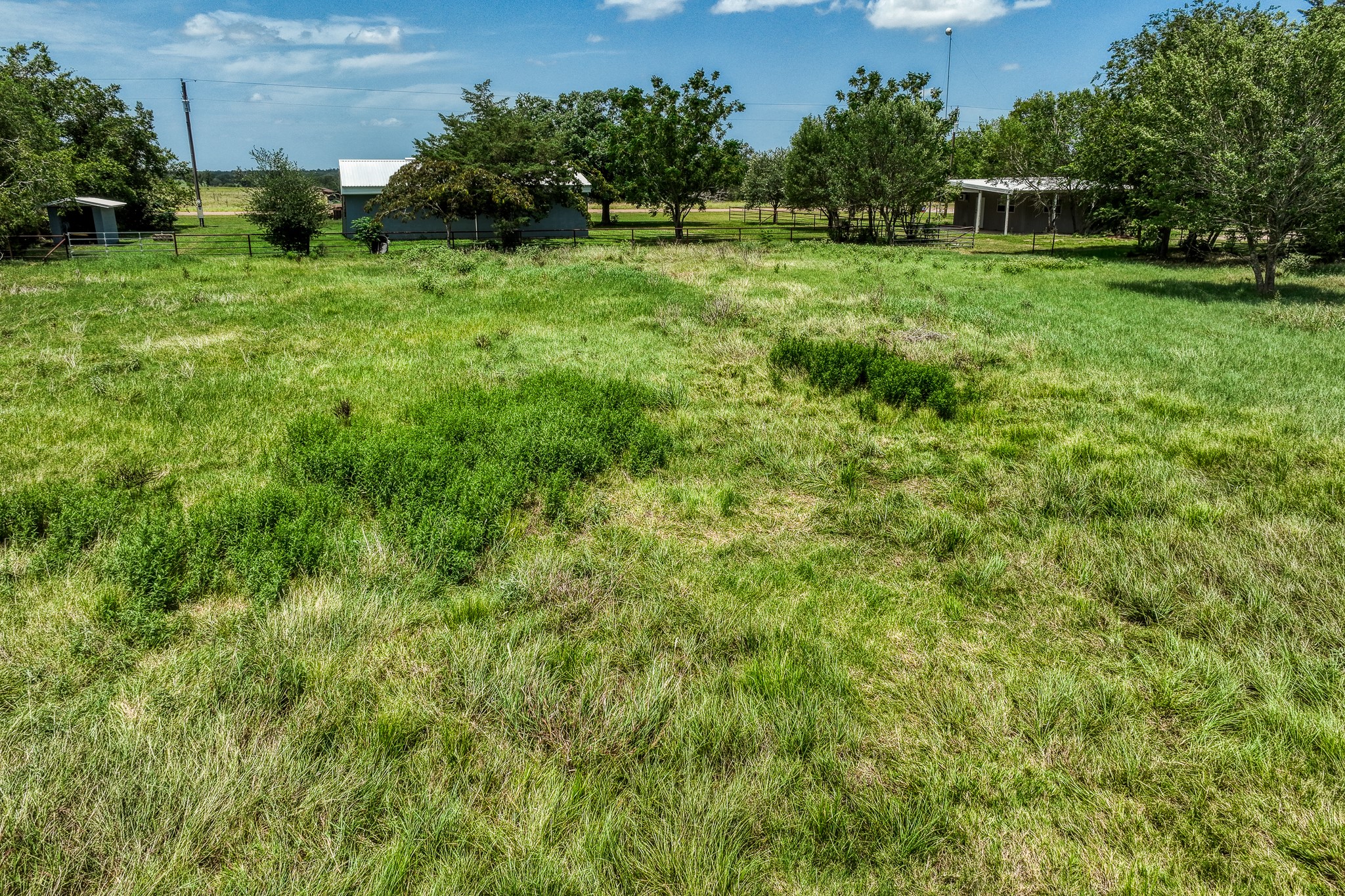 800 Waldeck Road Ledbetter, TX 78946 - Photo 4 of 6 a view of a garden