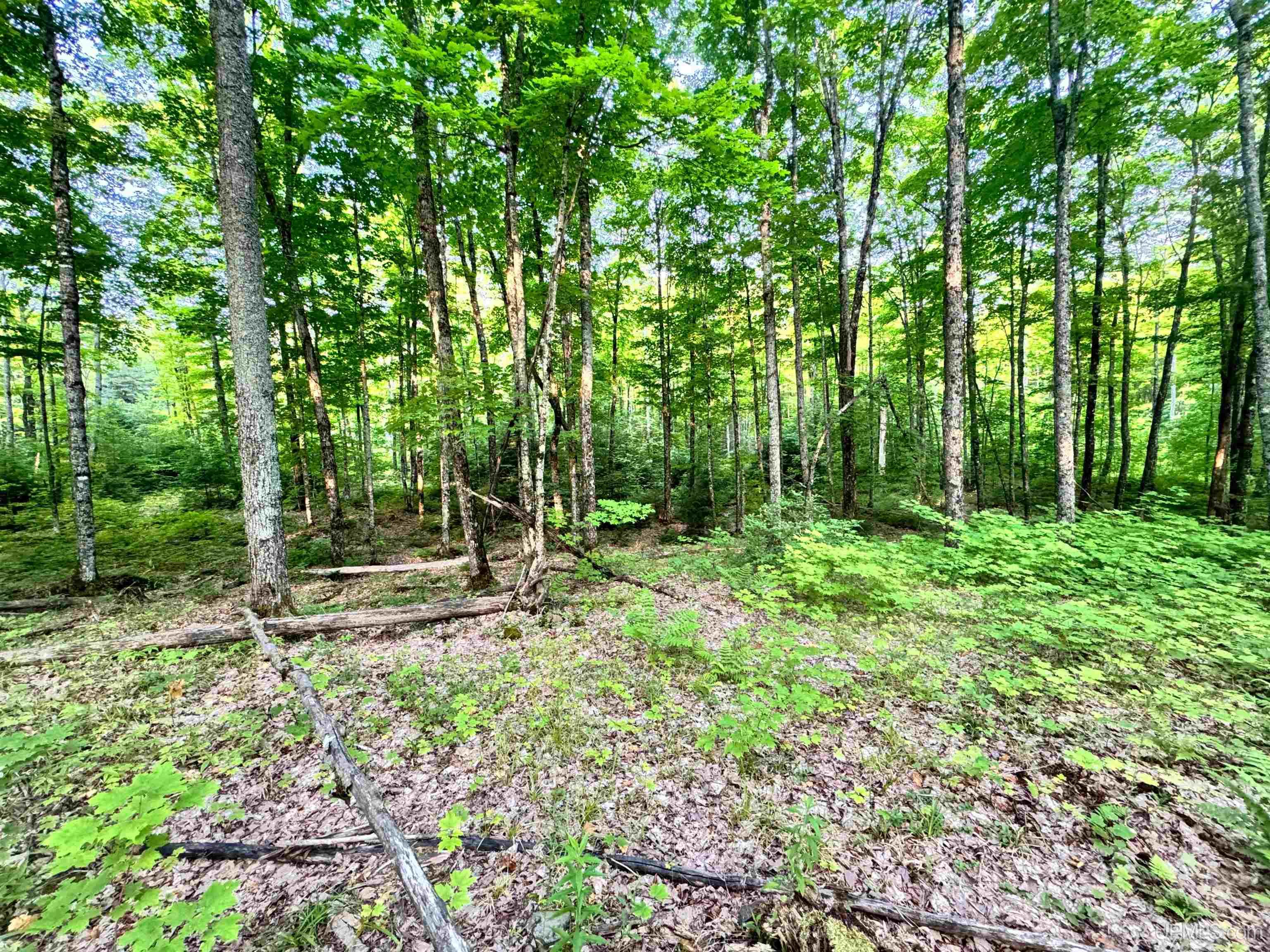 24399 Hillside Road Covington, MI 49919 - Photo 21 of 48