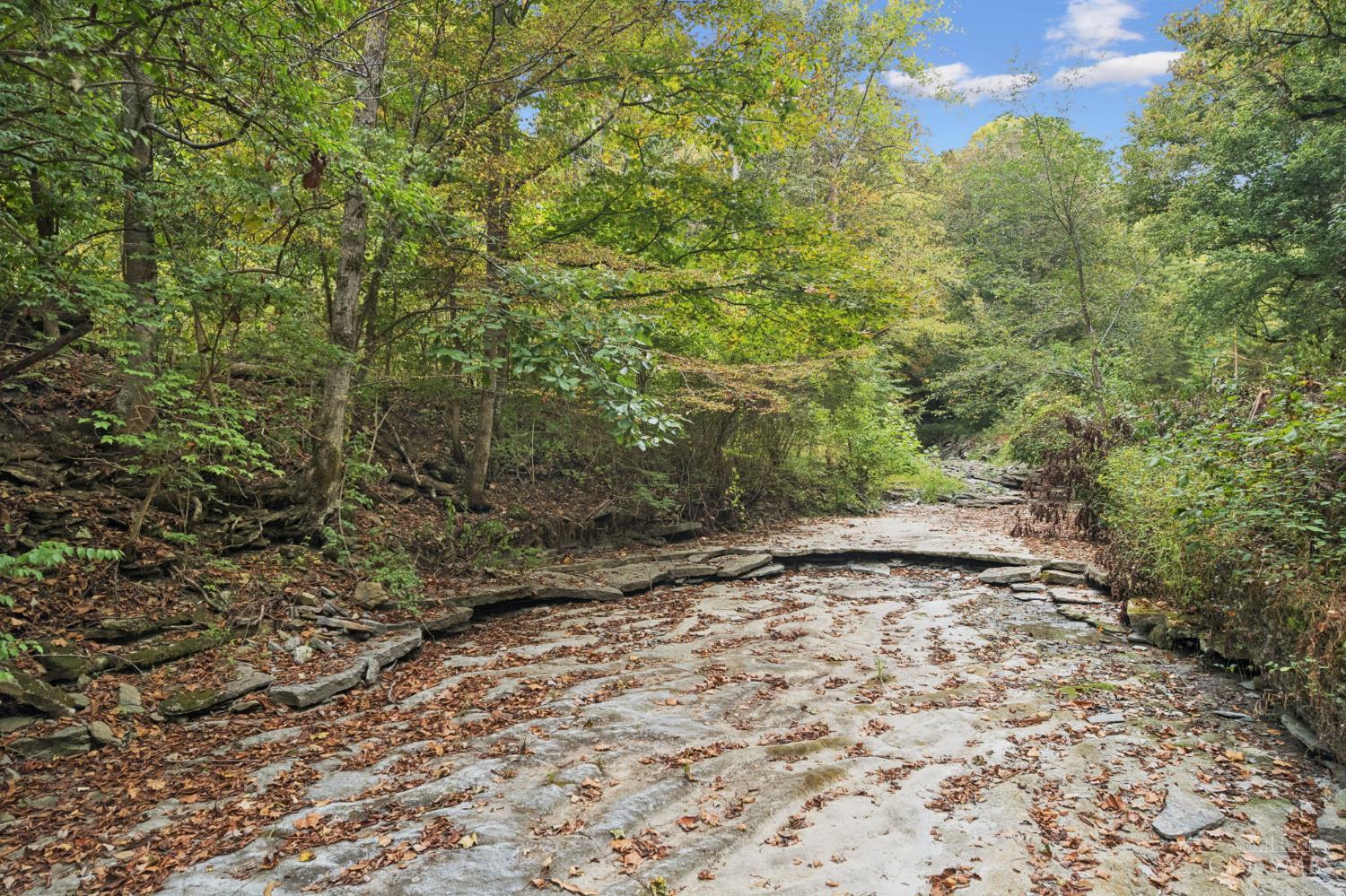 0 Fishing Gut Road Aberdeen, OH 45101 - Photo 10 of 20 Gallery Image 10