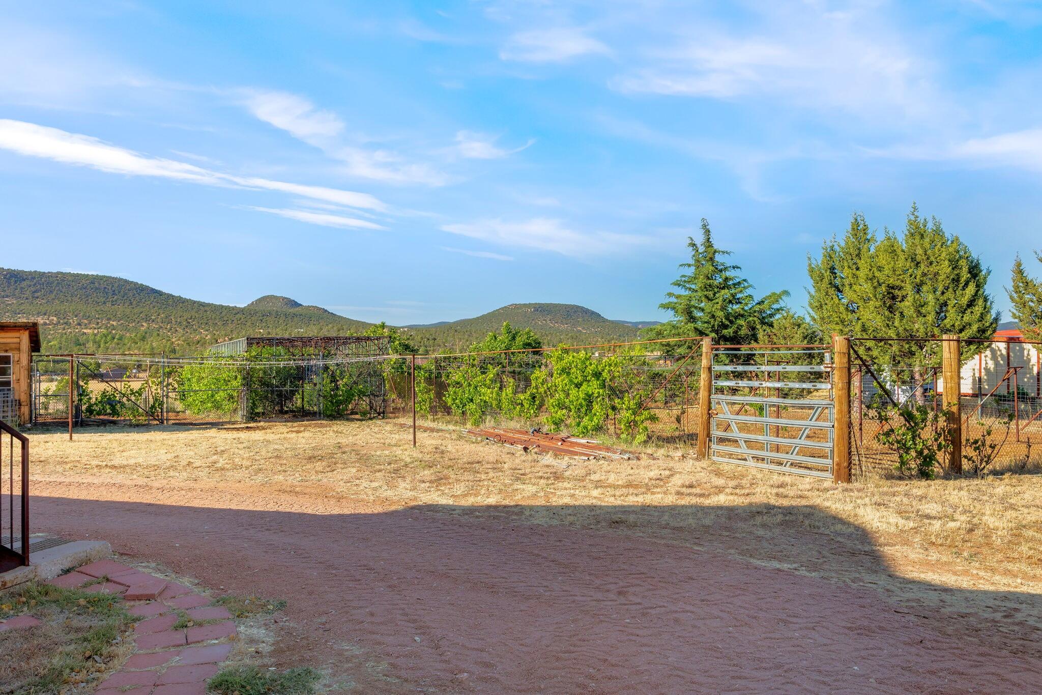 624 Baker Ranch Road Young, AZ 85554 - Photo 94 of 116