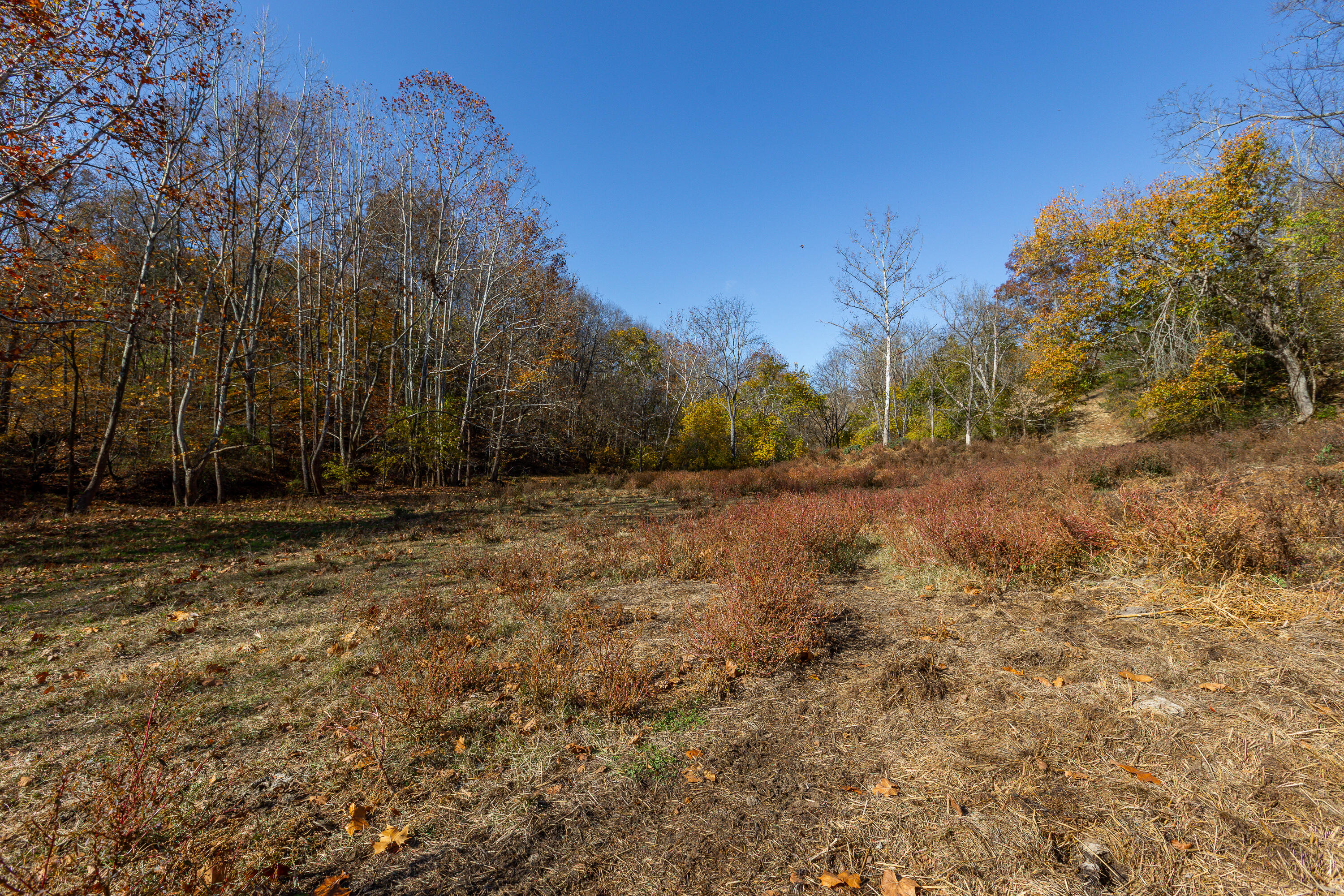 3480 Milltown Road Moorefield, KY 40350 - Photo 23 of 38 3480 Milltown