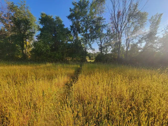 $1,777,777 | 8800 Grace Lane North, Greenfield, MN 55357