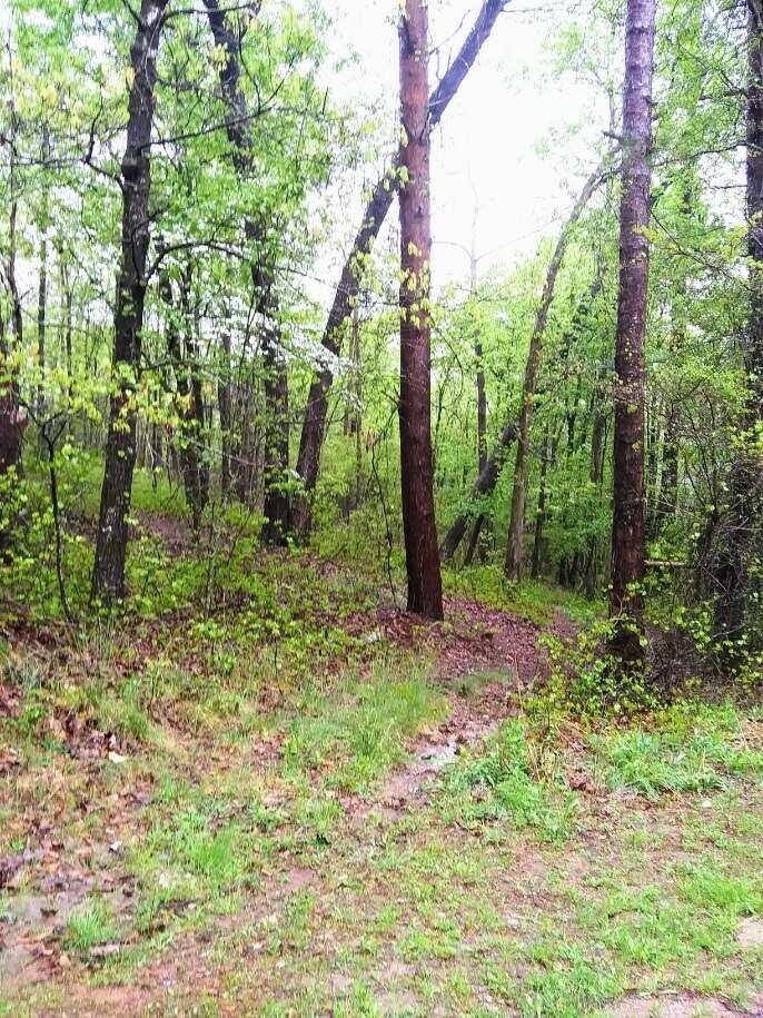 0 Parsons Road Comer, GA 30629 - Photo 1 of 1 a big yard with lots of green space and plants