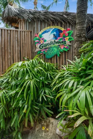 a view of outdoor space with plants