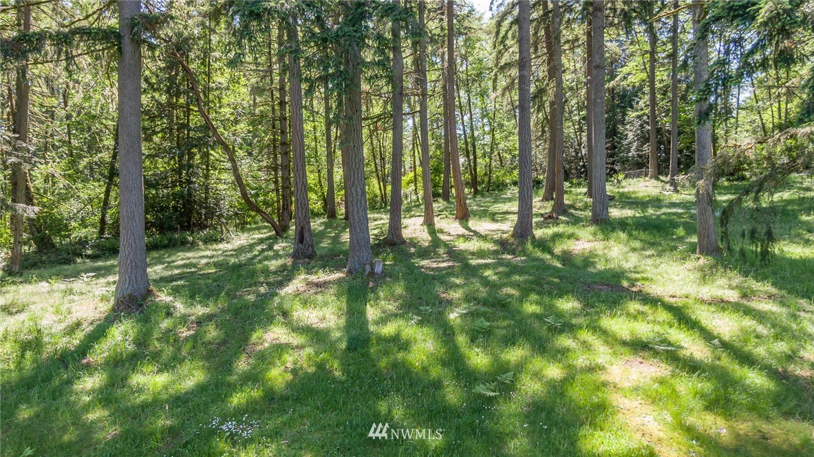 124-xx Southwest Bank Road Vashon, WA 98070 - Photo 11 of 20