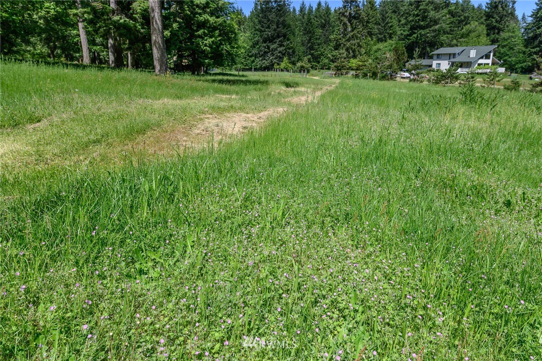 124-xx Southwest Bank Road Vashon, WA 98070 - Photo 16 of 20