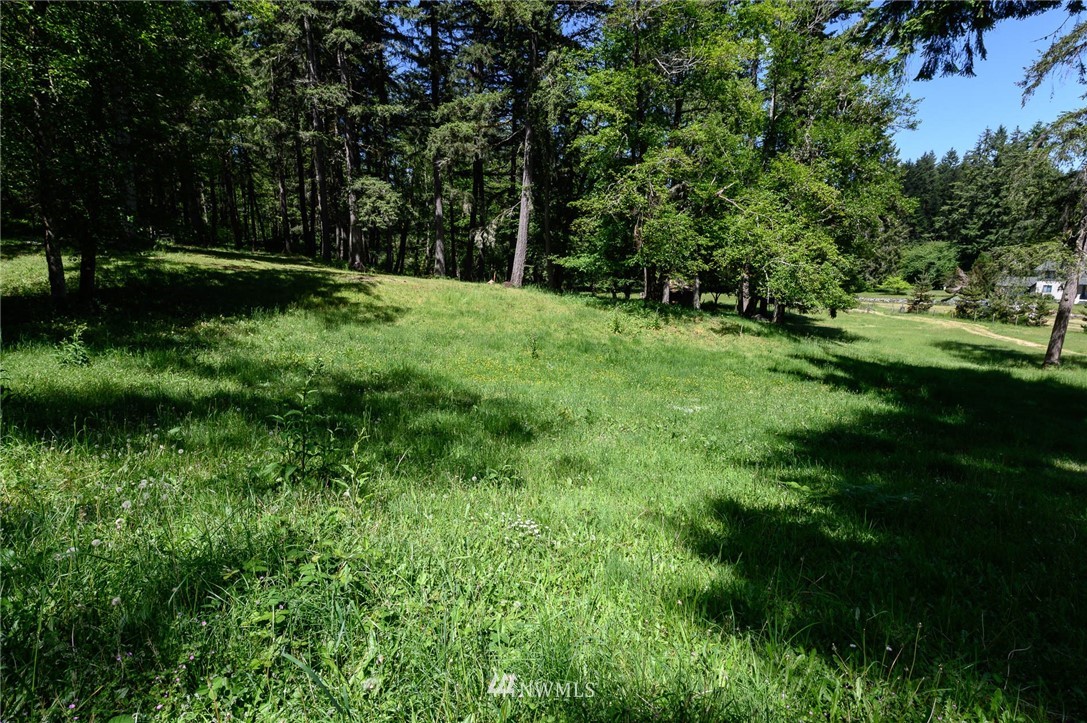 124-xx Southwest Bank Road Vashon, WA 98070 - Photo 17 of 20