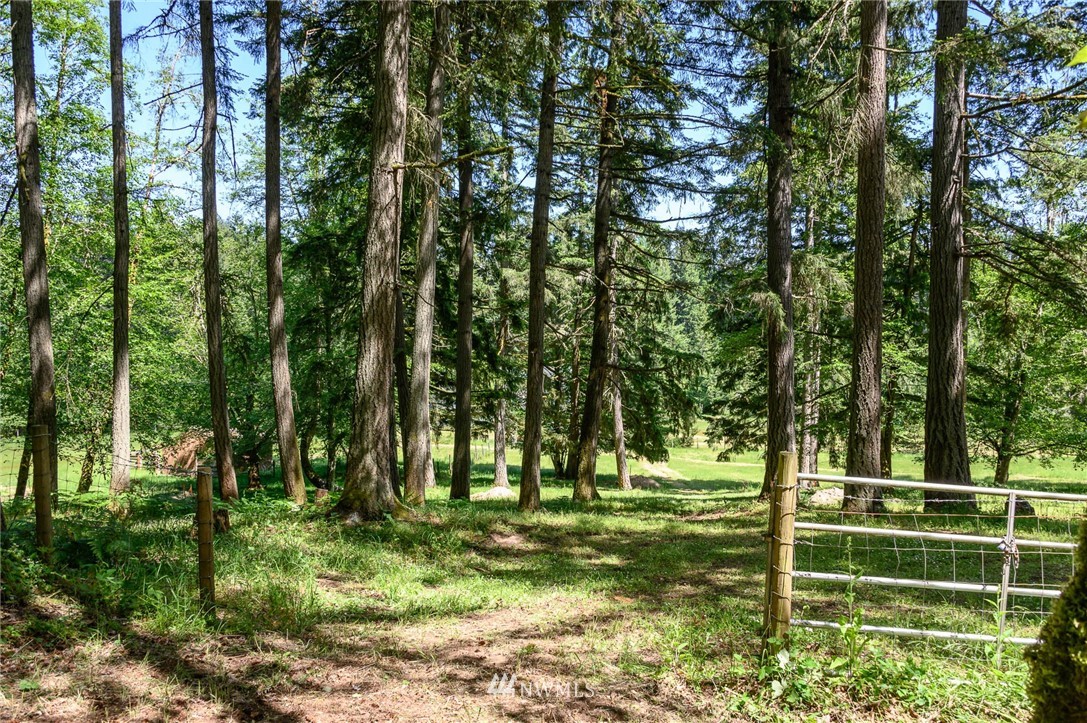 124-xx Southwest Bank Road Vashon, WA 98070 - Photo 8 of 20