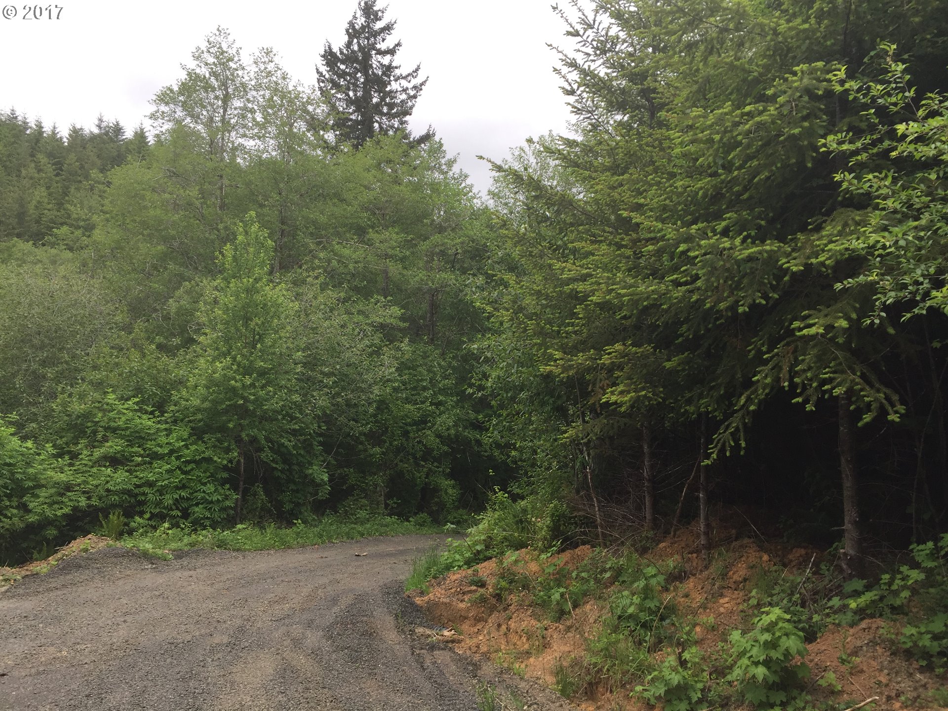 58515 Southwest Hebo Road Grand Ronde, OR 97347 - Photo 14 of 21 Gallery Image 14