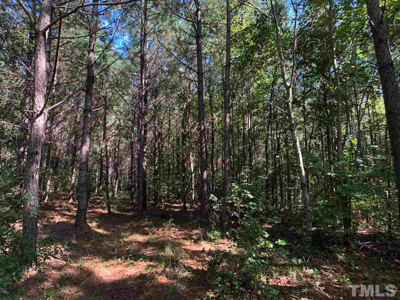 76.95-ac Bryantown Road Spring Hope, NC 27882 - Photo 22 of 30
