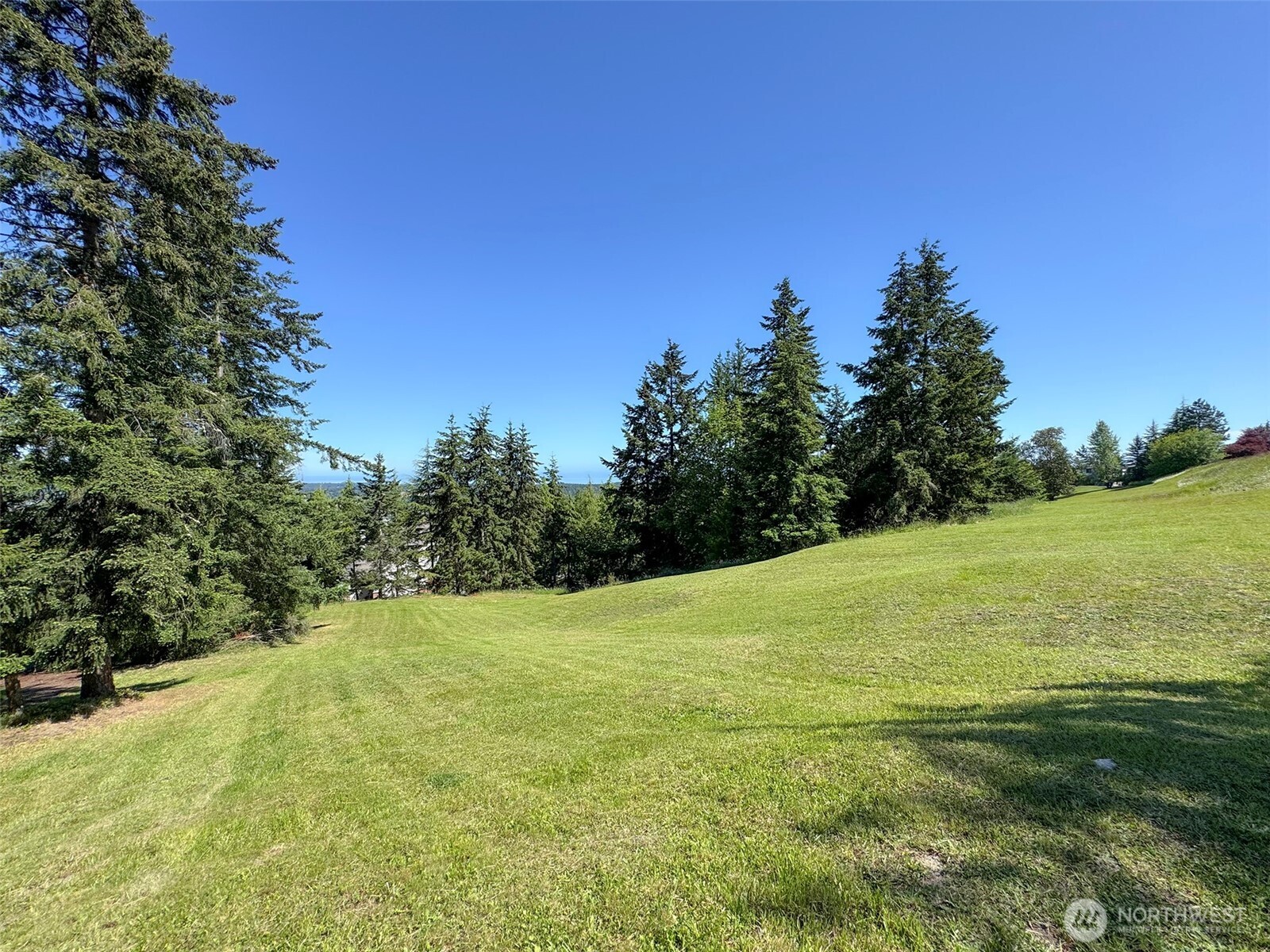 1 Owls Nest Road Sequim, WA 98382 - Photo 20 of 31 a view of a field with an outdoor space
