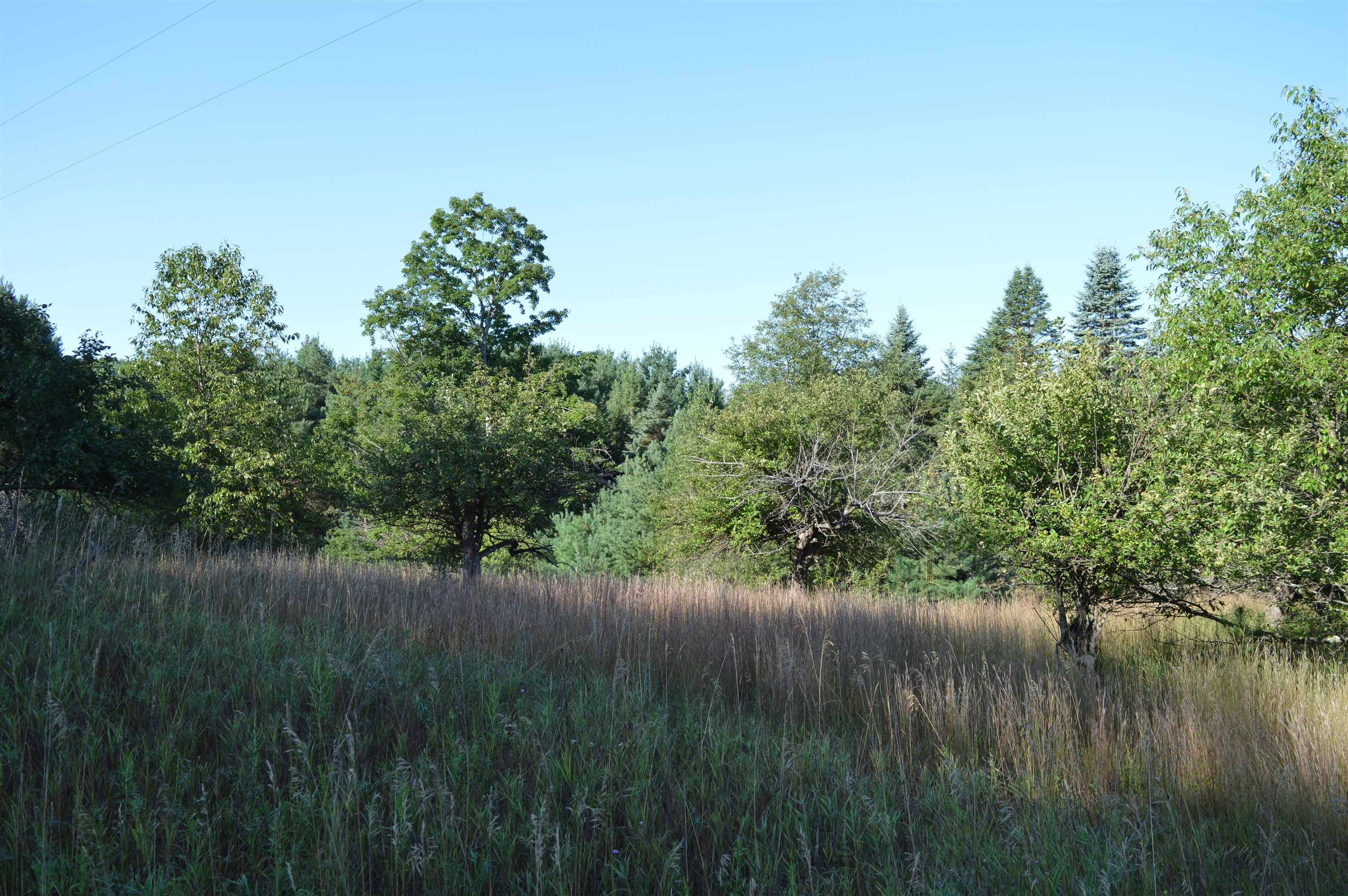 Gildas Rd Rapid Alden, MI 49612 - Photo 11 of 15