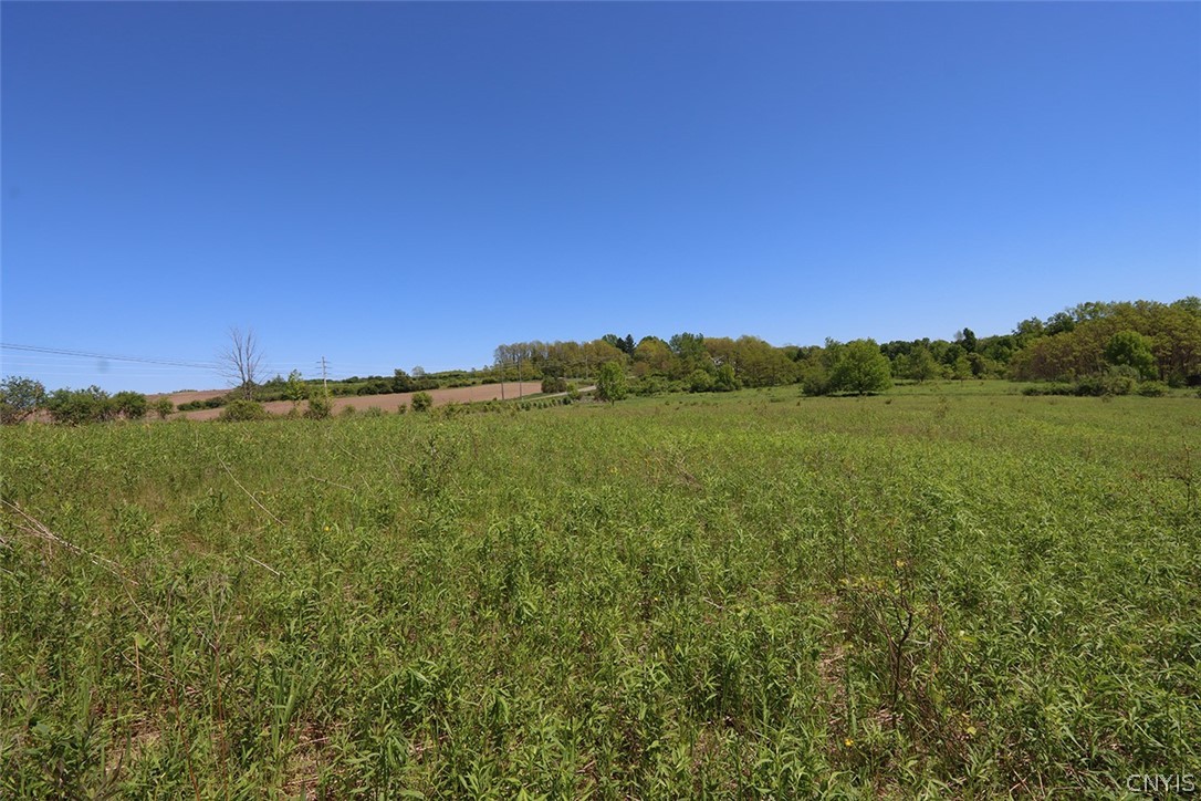 1580 Dave Hull Road Spafford, NY 13152 - Photo 9 of 14