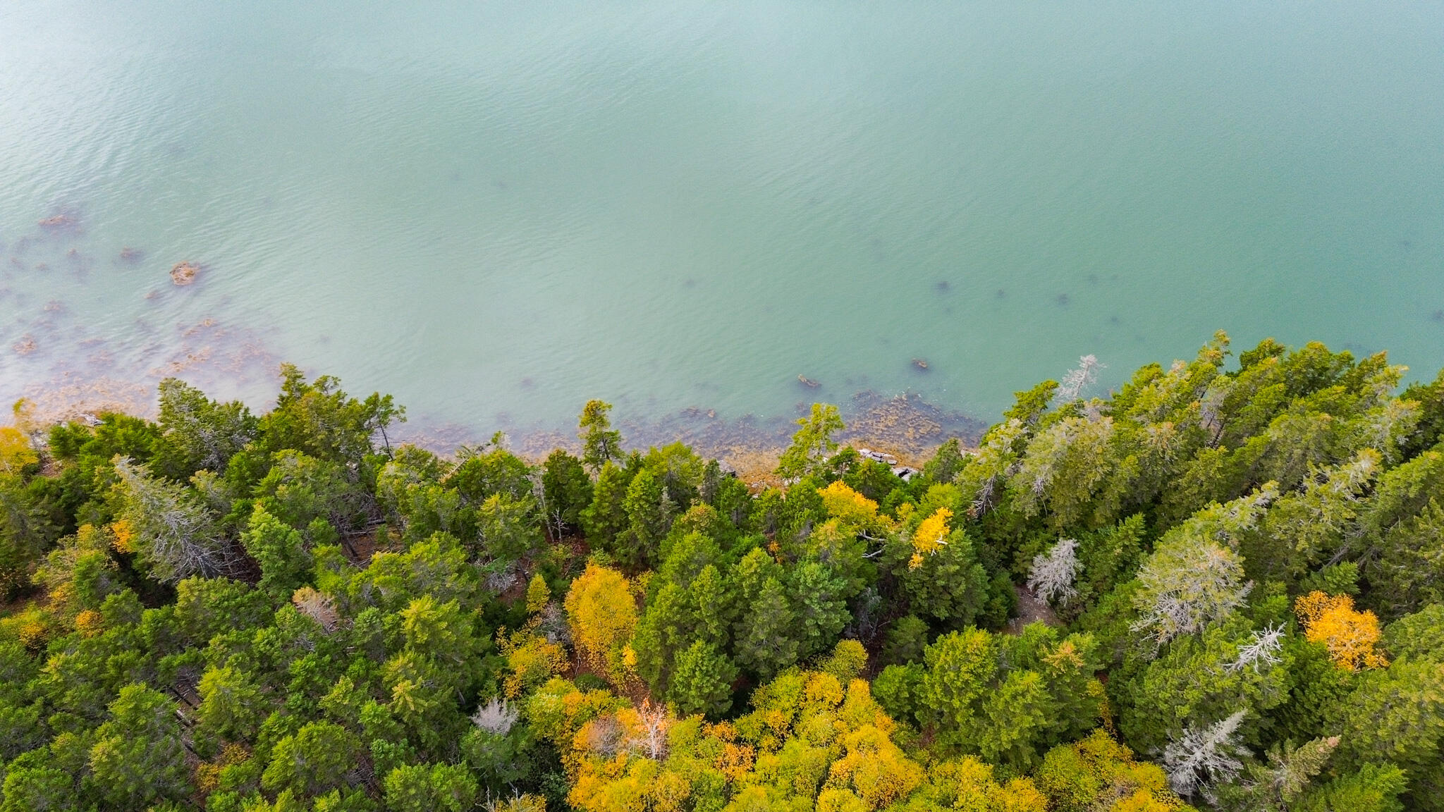 M2-lot6-5b Nepp Point Road Roque Bluffs, ME 04654 - Photo 6 of 18