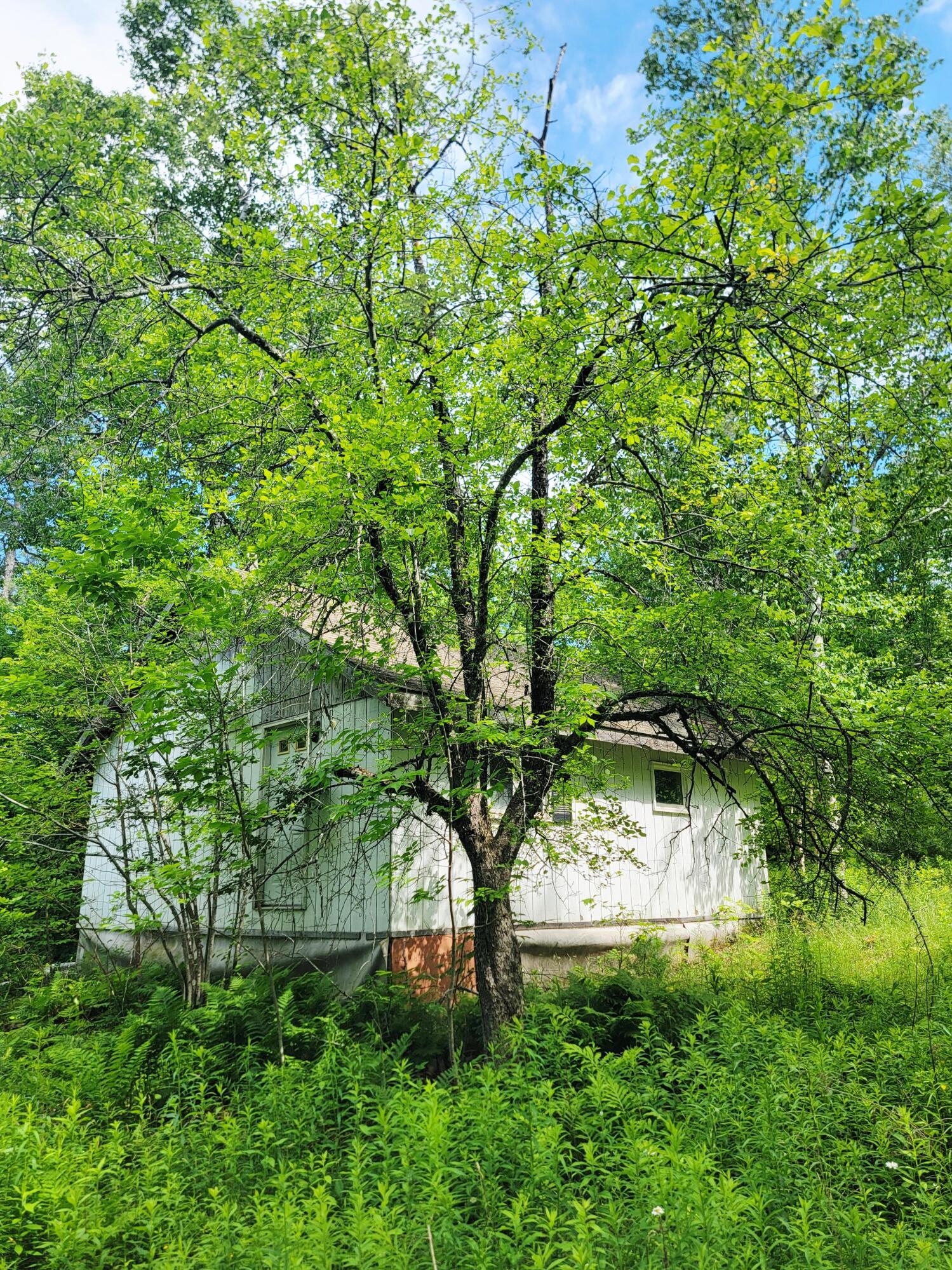 477 Hadley Mill Road Jackson, ME 04921 - Photo 6 of 32